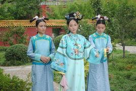 在线观看宫锁珠帘,宫廷权谋与爱恨情仇的华丽演绎  第2张