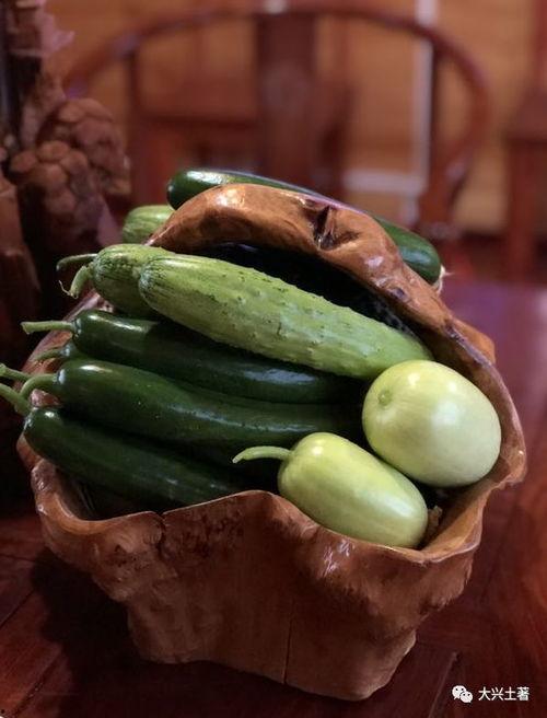 网红免费吃瓜视频,揭秘幕后真相与娱乐效应 第3张 网红免费吃瓜视频,揭秘幕后真相与娱乐效应 第3张